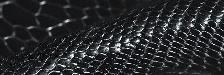Poster - Hand-drawn snake skin with geometric patterns in contrasting gray tones for creative banner design