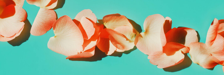 Poster - Sakura petals arranged in a wave-like pattern on bright teal background