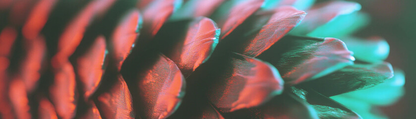 Aufkleber - Pine cone texture showcasing unique scales and shadow play against a bright backdrop