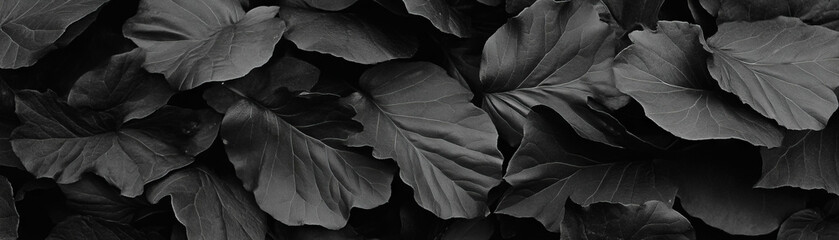 Aufkleber - Close-up view of dry leaves with halftone texture showcasing intricate veins and patterns