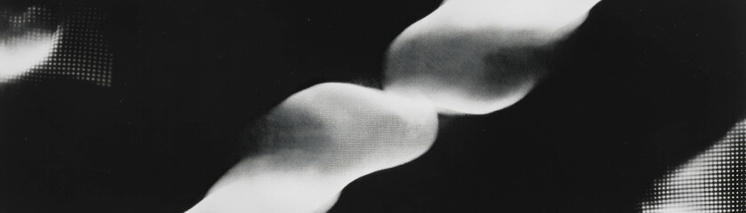 Poster - Gradient transition from black to white with halftone texture showcasing intricate details