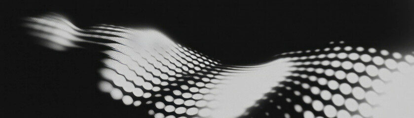 Fototapete - Halftone gradient texture showcasing a transition from black to white with smooth details
