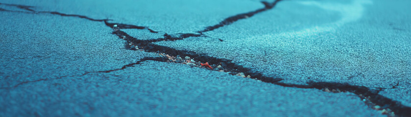Poster - Close-up view of cracked asphalt showcasing halftone texture details