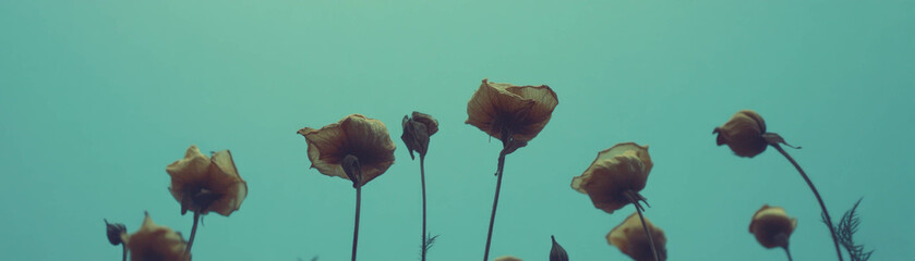 Poster - Dried flowers with halftone texture against a grunge blue background featuring brittle petals