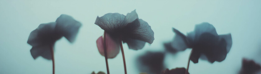 Poster - Dried flowers with halftone texture showcasing brittle petals against a grunge background
