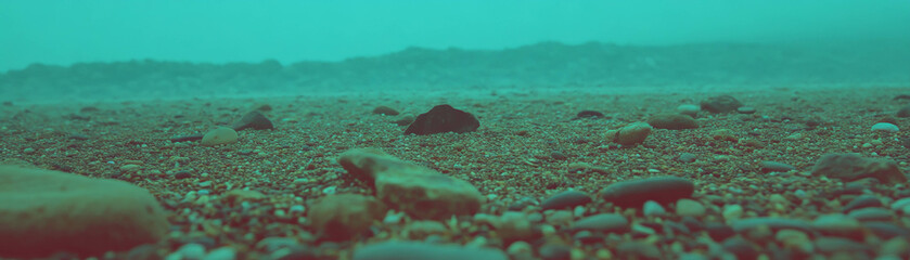 Poster - Halftone texture of varied pebbles on a beach with unique sizes and shapes