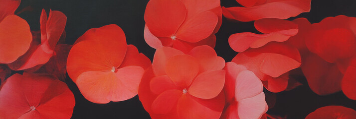 Aufkleber - Vibrant red petals in a lush arrangement showcasing natural beauty and elegance
