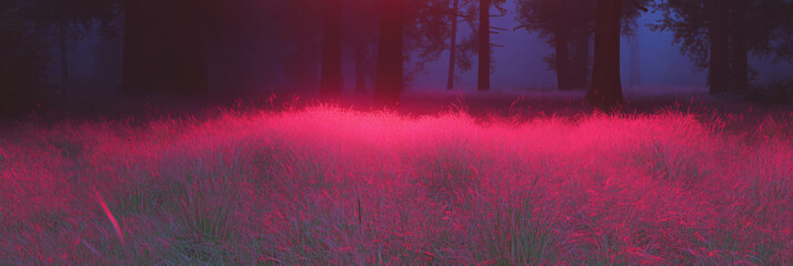 Poster - Crimson glows illuminate a tranquil forest clearing at dusk