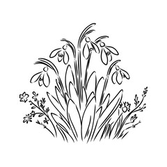 Poster - Snowdrops flower continuous line art drawing style. Snowdrop line sketch. Spring concept.