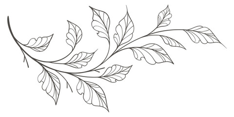 line art vector illustration of a branch with leaves