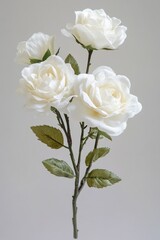 Aufkleber - A simple and elegant arrangement of white roses in a vase, perfect for decorative purposes