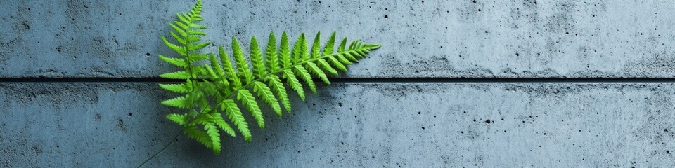 Poster - A small plant grows out of a concrete wall, symbolizing resilience and renewal