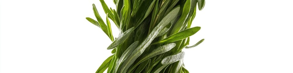 Aufkleber - A detailed view of thick green blades of grass, ideal for illustrations about nature or environmental topics