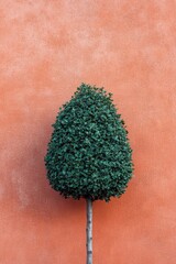 Poster - A small green tree is placed in front of a bright red wall, making for a unique and visually appealing scene