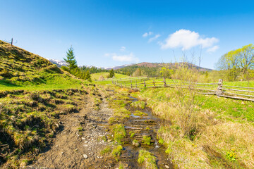 Wall Mural - countryside scenery of ukraine in spring. blue sky with cloud. sunny morning. mountainous rural land
