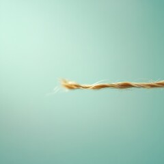 Aufkleber - Close up view of a broken strand of hair against a softly blurred background. Generative AI