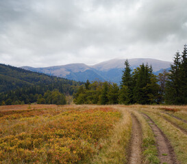 Wall Mural - Carpathian Mountains (Ukraine) autumn landscape with country road.