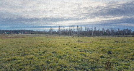 Wall Mural - field of grass with a cloudy sky in the background