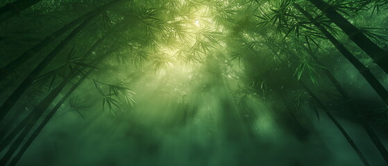 Wall Mural - A tropical dawn in a bamboo forest colors green le_009