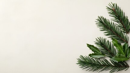 Wall Mural - Fresh Green Pine and Holly Leaves on a Light Background