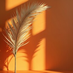 Aufkleber - Elegant dried palm leaf stem casting sunlight shadows on warm orange background with copy space. Stylish boho still life flower composition in sunlight. Interior decoration.