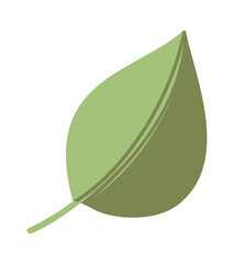 Green natural leaf design element