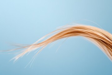 Poster - Macro shot of a broken hair strand against a soft blue background highlighting texture and fragility. Generative AI