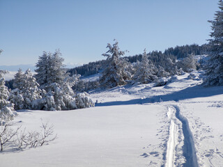 Wall Mural - Winter Landscape of Vitosha Mountain, Bulgaria