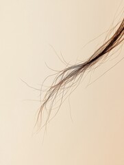 Poster - Broken strand of hair close up revealing delicate texture and split ends with soft background. Generative AI