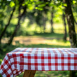 © Gustav - Sun-Drenched Picnic Spot, Red and White Gingham Tablecloth Set Against a Forest Backdrop Invites Outdoor Dining and Relaxation