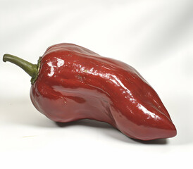 Captivating close-up of a vibrant red bell pepper, showcasing its glossy surface and unique shape against a pristine white backdrop in natural light