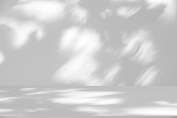 Fototapete - Wall interior background, studio and backdrops show products.with shadow from window color white and grey. background for text insertion and presentation product	