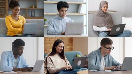 Poster - A diverse group of young individuals focuses on their laptops in a cozy indoor setting, showcasing modern work and study habits in a collaborative atmosphere.