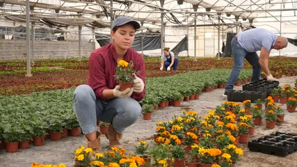 Wall Mural - Young woman holding flower pot with marigolds. High quality 4k footage