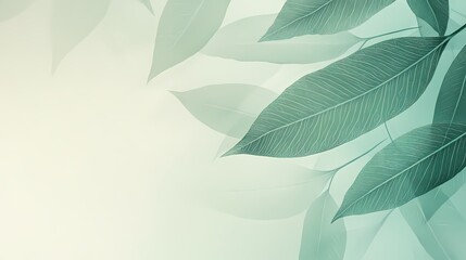 Poster - Elegant botanical background with soft green leaves and delicate veins for spa and wellness