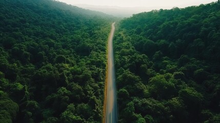 Leinwandbilder - Road stretches through a vibrant forest revealing natures beauty and serenity. Generative AI