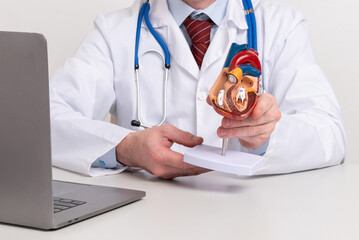 A cardiologist uses a heart model to demonstrate the anatomy, function, and treatment of cardiovascular diseases