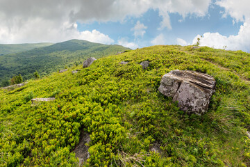 Wall Mural - stones and rocks on the slope of alpine meadow. vacation season. summer mountain landscape with clou