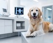 © Sangsung - Happy Dog at Veterinary Clinic on Examination Table