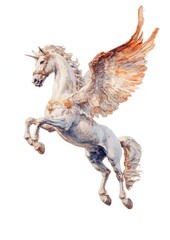 Wall Mural - A Pegasus art illustration horse.