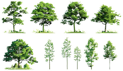 green trees vector illustration for landscape clipart, transparent background, nature forms, eco-fri