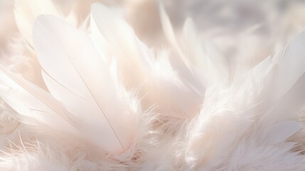 Sticker - feathers angel wings white