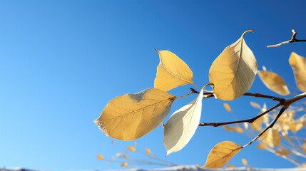 Wall Mural - green poplar leaf