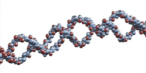 Poster - DNA double helix structure with atoms represented in 3D model, showcasing molecular biology