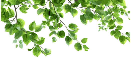Green wild tree leaves, branch, foliage texture, spring nature, fresh leaves, outdoor greenery, plant texture, nature background, botanical scene, lush forest, vibrant leaves,