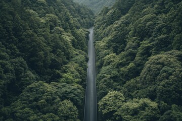 Poster - Straight road leads through a lush green forest and disappears into the horizon during a calm afternoon. Generative AI