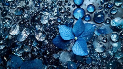 Poster - Small translucent blue droplets on flower petals nature close-up dew drops macro photography calm atmosphere