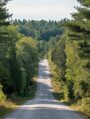 Poster - Road continues through thick forest showcasing natures beauty in a serene landscape. Generative AI