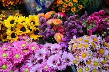 Wall Mural - Fresh flowers asteraceae outdoors blossom.