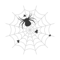 Poster - Web icon. Spider icon. Flat style. Vector icon.